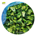 Wholesale Chinese Frozen Broccoli Price